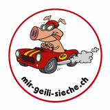 Logo mirgeilisieche.ch | © mirgeilisieche.ch